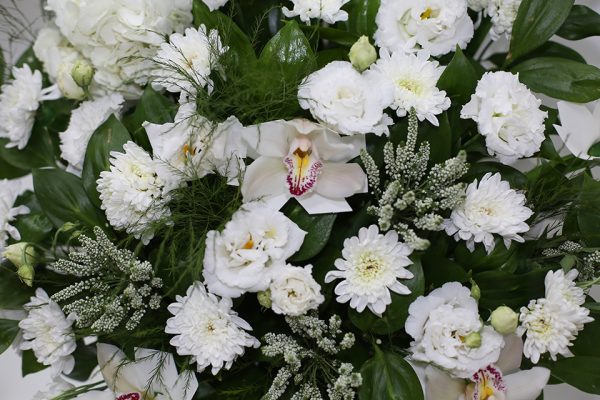 Белая гармония — изображение 3