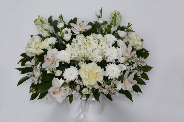 Лунное Сияние