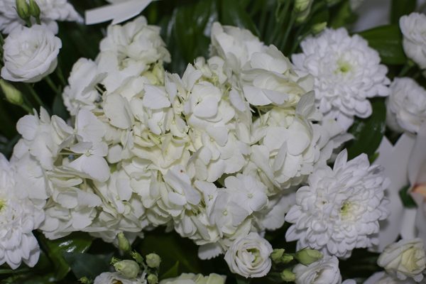 Лунное Сияние — изображение 3